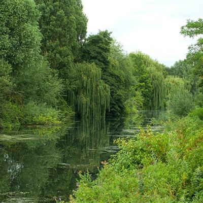 BET9官方APP下载正版