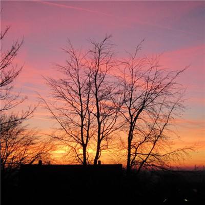 南宫28手机app下载