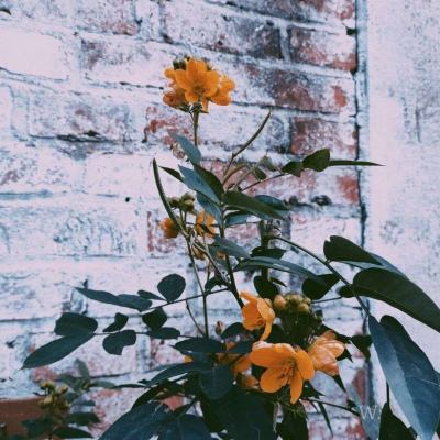 外围皇冠体育下载截图