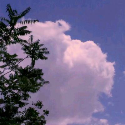 万博·体育下载手机版