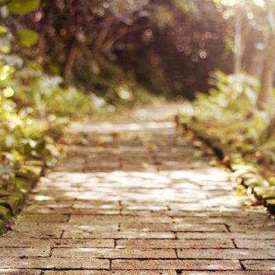 一分赛车app下载官方